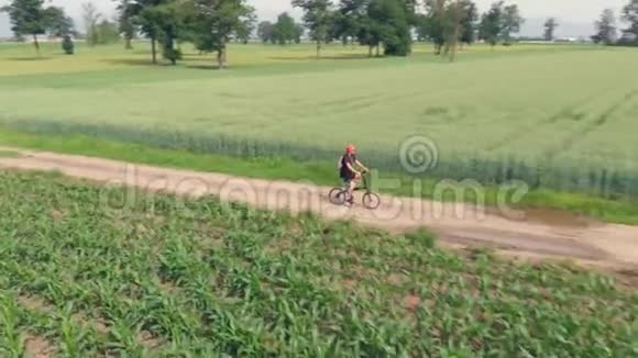 空中男子骑自行车沿着乡间小路穿过耕地和农田阳光明媚的一天环保的交通运输视频的预览图