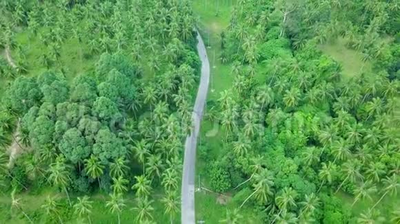 交通的鸟瞰图沿道而行横跨椰子棕榈树种植园视频的预览图