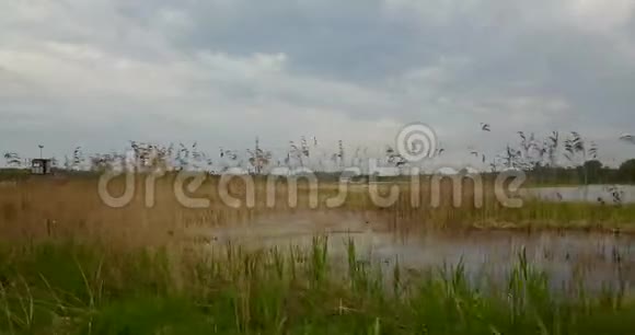 从河的顶部可以看到游艇停泊处kterov视频的预览图