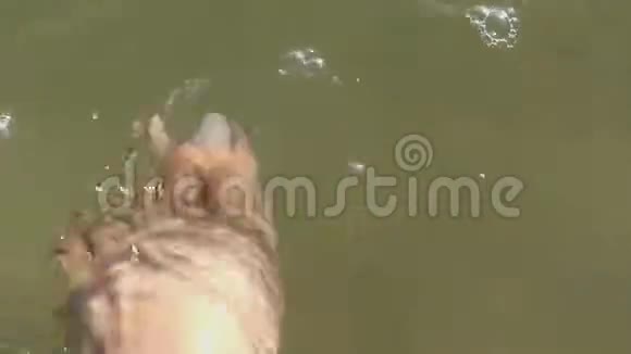 夏天雌性的脚在湖岸上下移动水视频的预览图