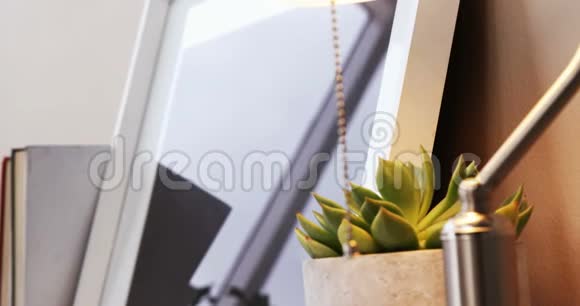 芦荟植物台灯和相框视频的预览图