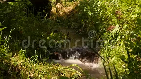 湍急的水流在石头间流淌大石头和绿色植被之间的小山河慢慢慢慢视频的预览图