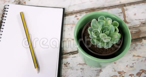 芦荟植物带铅笔和粘合剂夹的日记视频的预览图