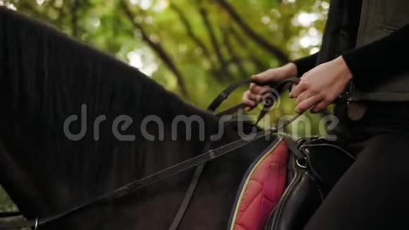 在阳光明媚的日子里不可辨认的女人在公园里骑着漂亮的棕色马坐在马背上的女骑手视频的预览图