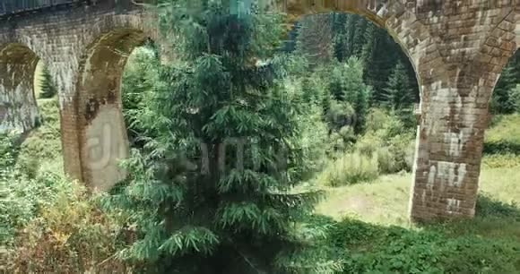 云杉生长在石桥附近视频的预览图