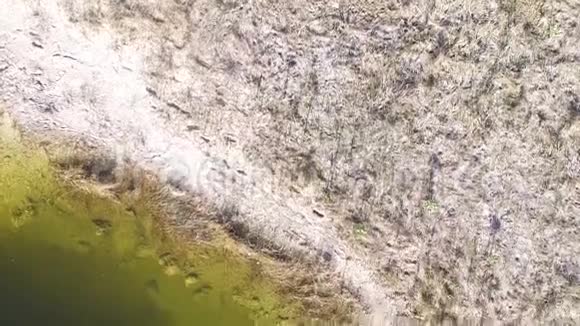 沼泽中的沉积物视频的预览图