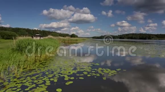 夏日绚丽的自然景观绿色植物镜面水面和蓝天伴雪白云视频的预览图