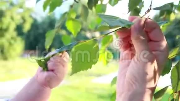 宝宝在妈妈的手上玩树枝视频的预览图