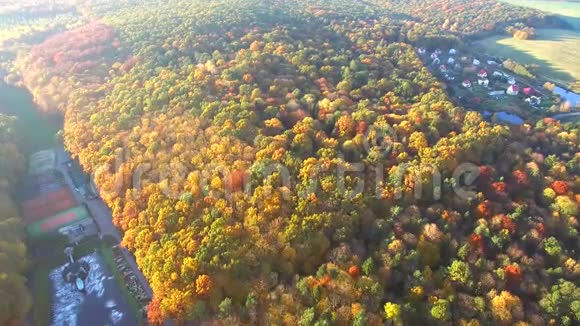 空中无人机视野秋季飞越娱乐区视频的预览图