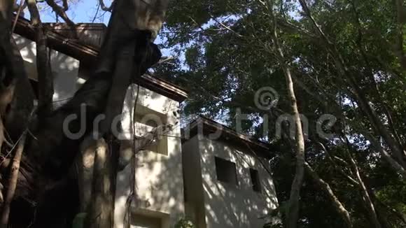 亚洲丛林森林中被植物过度生长的废弃酒店度假村自然与城市视频的预览图