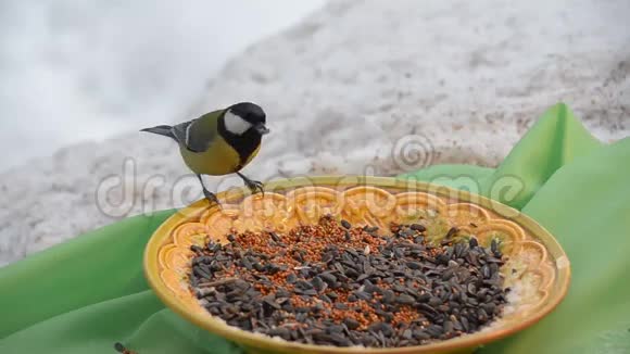 鸟儿在冬天啄食种子盘子站在一块绿色的布上视频的预览图