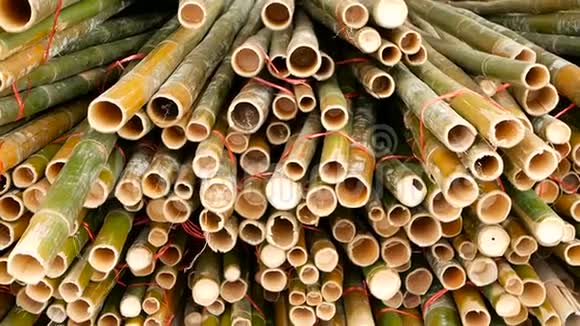 圆形交叉切片竹干束堆准备用作亚洲建筑材料自然视频的预览图
