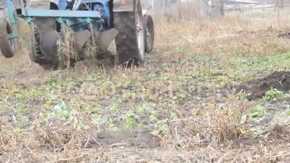 深秋的蓝色拖拉机在地上犁钢犁沟视频的预览图