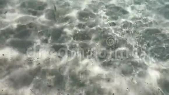 撒丁岛海岸的海底景观鱼在缓慢运动视频的预览图