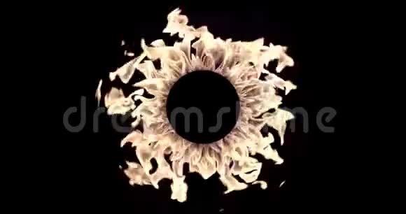黑色背景下的圆形火框视频的预览图