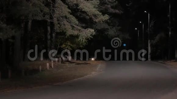 汽车停在森林的夜路上视频的预览图