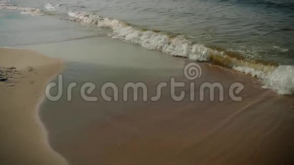海滩和海浪景观视频的预览图