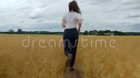 年轻女子跑过金色草地视频的预览图