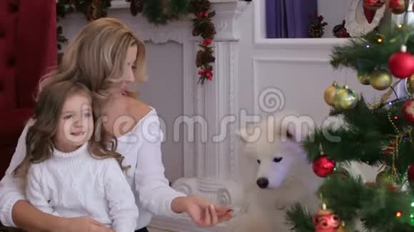 妈妈和孩子在圣诞树旁和狗玩耍视频的预览图