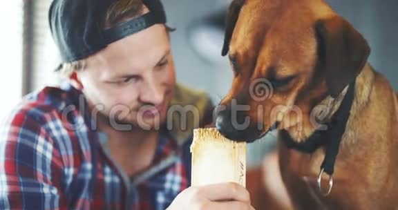 狗咬木头和舔人在家视频的预览图
