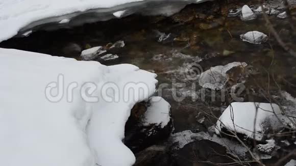 早春寒冷的森林小溪有冰雪视频的预览图