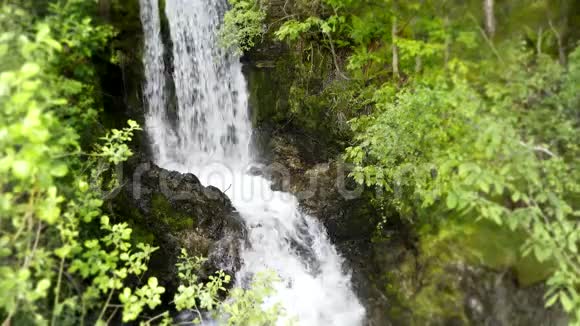 小河瀑布流绿树成荫山崖成林令人叹为观止4k稳定的野生景观拍摄视频的预览图