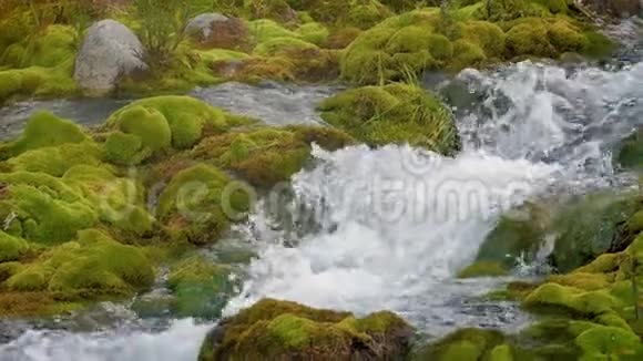 山溪石间长满青苔慢动作180fps透明纯净的水流视频的预览图