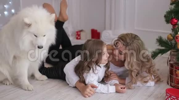 妈妈和孩子在圣诞树旁和狗玩耍视频的预览图