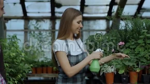 幸福的年轻花店一家人穿着围裙在温室里工作有魅力的男人在妻子浇水时拥抱她亲吻她视频的预览图