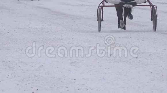 冬季寒冷的时候骑在赛马场上的骑手4K视频的预览图