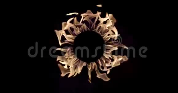 黑色背景下的圆形火架视频的预览图