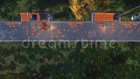 步行道秋天公园的顶景有空长凳视频的预览图