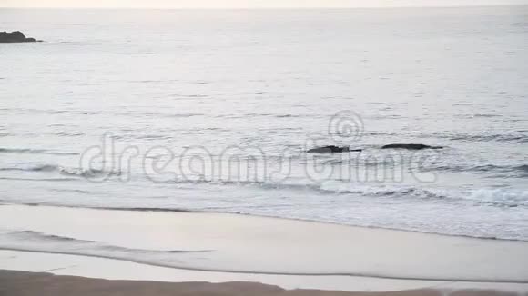在一个阳光明媚的日子里近距离拍摄海浪向沙滩翻滚的画面视频的预览图