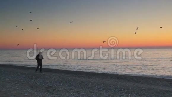 在海滩上看日落的那个人视频的预览图