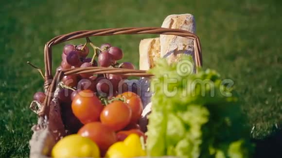 公园室外提供带素食夫妇的野餐篮视频的预览图