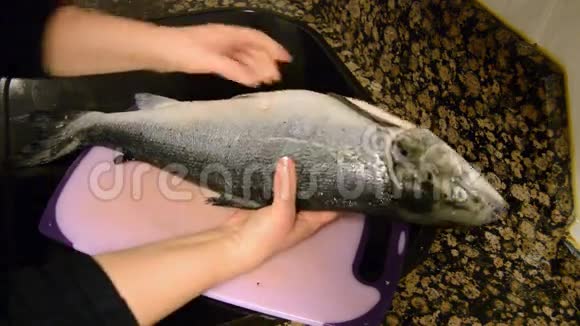 厨房里新鲜的鲑鱼视频的预览图