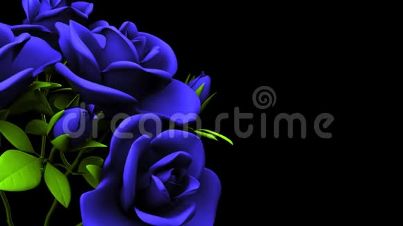 黑色文本空间的蓝色玫瑰花束视频的预览图