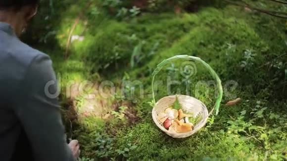 年轻漂亮的女人蹲着找蘑菇一篮子蘑菇站在草地上后景视频的预览图