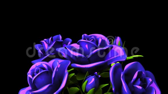 黑色文本空间的蓝色玫瑰花束视频的预览图