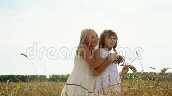 两个女孩走在俄罗斯的麦田上穿着白色连衣裙的漂亮女孩手拿麦穗视频的预览图