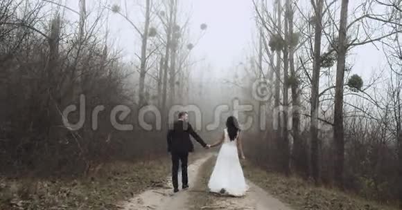 幸福的新婚夫妇正在森林里散步他们亲吻慢动作4k视频的预览图
