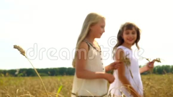 两个女孩走在俄罗斯的麦田上穿着白色连衣裙的漂亮女孩手拿麦穗视频的预览图