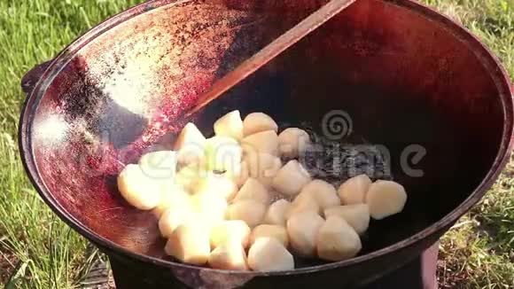 在户外大锅里用橄榄油煮小的春黄土豆野营概念视频的预览图