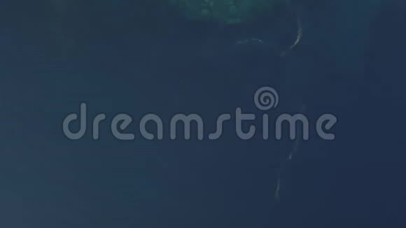 布德瓦的斯维蒂斯特凡岛的空中镜头视频的预览图