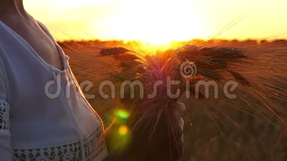 日落时分穿着白色裙子的女孩正在田野里抱着一束麦穗视频的预览图