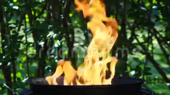 在花园里烧烤视频的预览图