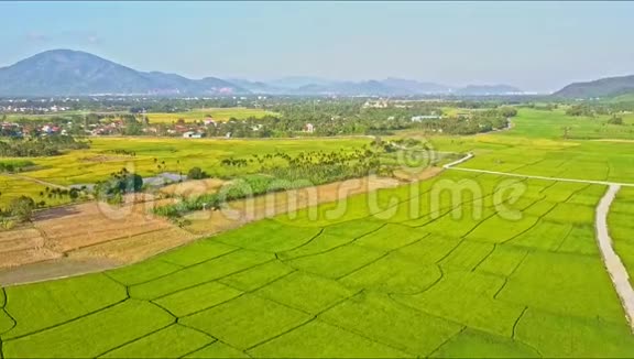 按村分列的水稻和作物田空中景观视频的预览图