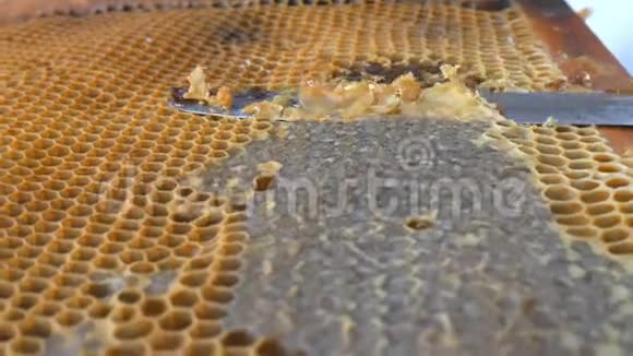 手用刀把蜂蜜和蜂蜜塞进框架养蜂人无密封蜂窝视频的预览图