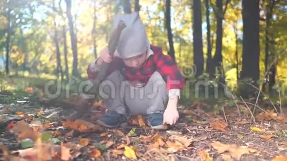 秋天公园里小男孩正在玩一根长着黄叶的树枝视频的预览图