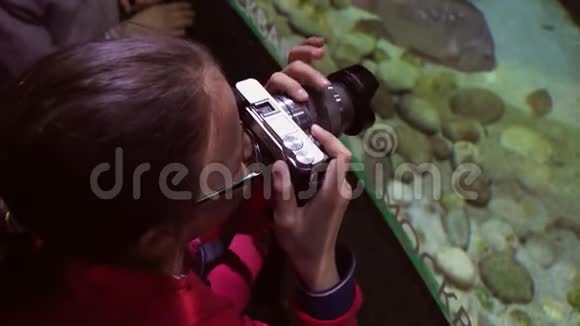 女孩拍摄丰富多彩的水下世界股票录像视频的预览图